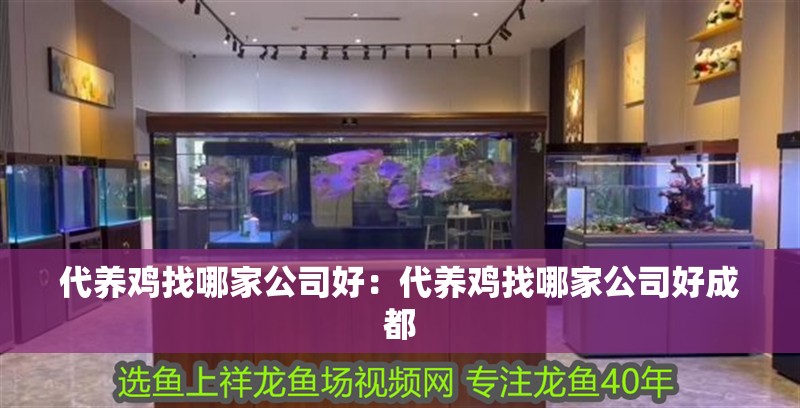 代養雞找哪家公司好：代養雞找哪家公司好成都 代養雞找哪家公司好：代養雞找哪家公司好成都 龍魚百科 第3張