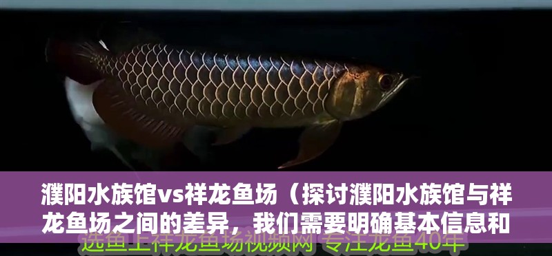 濮陽水族館vs祥龍魚場（探討濮陽水族館與祥龍魚場之間的差異，我們需要明確基本信息和特點）