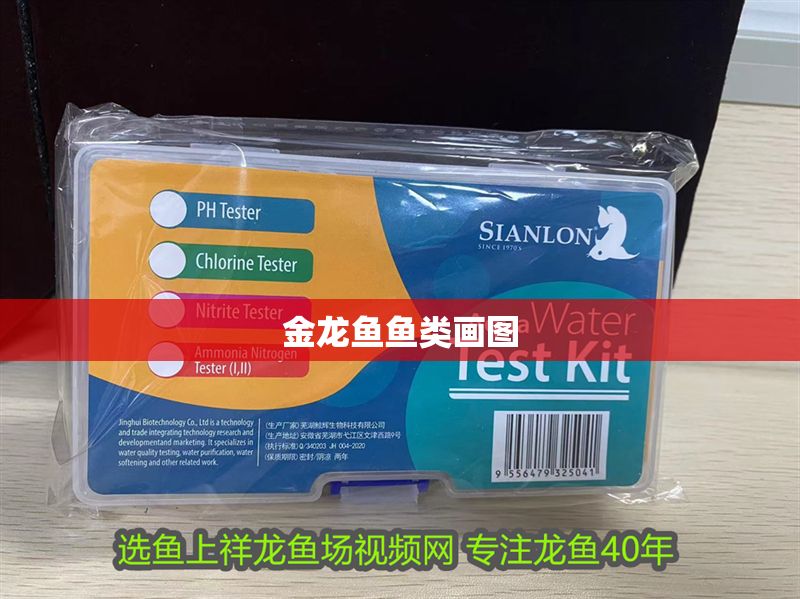 金龍魚魚類畫圖 金龍魚魚類畫圖 龍魚百科 第2張