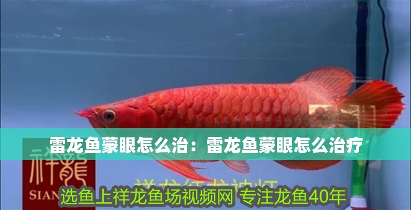 雷龍魚蒙眼怎么治：雷龍魚蒙眼怎么治療 雷龍魚蒙眼怎么治：雷龍魚蒙眼怎么治療 水族問答