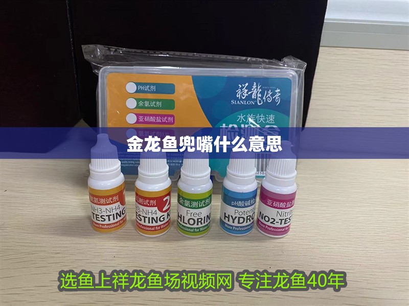 金龍魚兜嘴什么意思