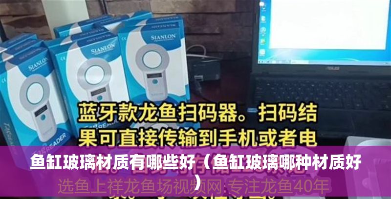 魚缸玻璃材質有哪些好（魚缸玻璃哪種材質好）