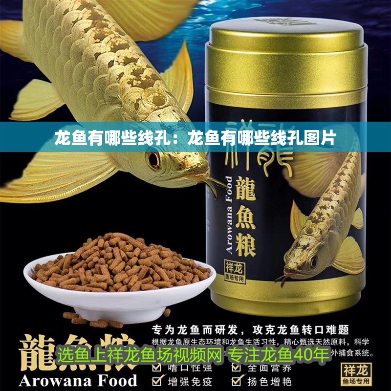 龍魚有哪些線孔:龍魚有哪些線孔圖片 水族問答 龍魚有哪些線孔:龍魚有哪些線孔圖片 龍魚有哪些線孔:龍魚有哪些線孔圖片 水族問答