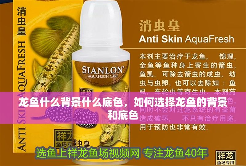 龍魚什么背景什么底色，如何選擇龍魚的背景和底色 龍魚什么背景什么底色，如何選擇龍魚的背景和底色 龍魚百科 第2張
