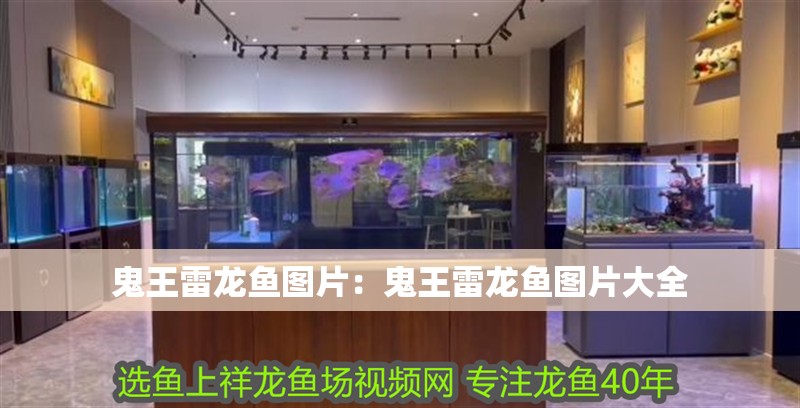 鬼王雷龍魚圖片：鬼王雷龍魚圖片大全