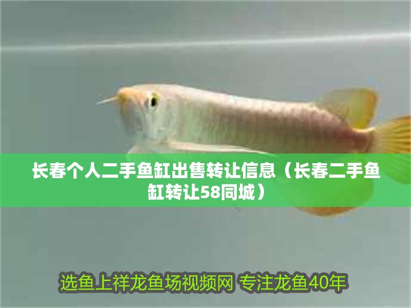 長(zhǎng)春個(gè)人二手魚缸出售轉(zhuǎn)讓信息（長(zhǎng)春二手魚缸轉(zhuǎn)讓58同城）