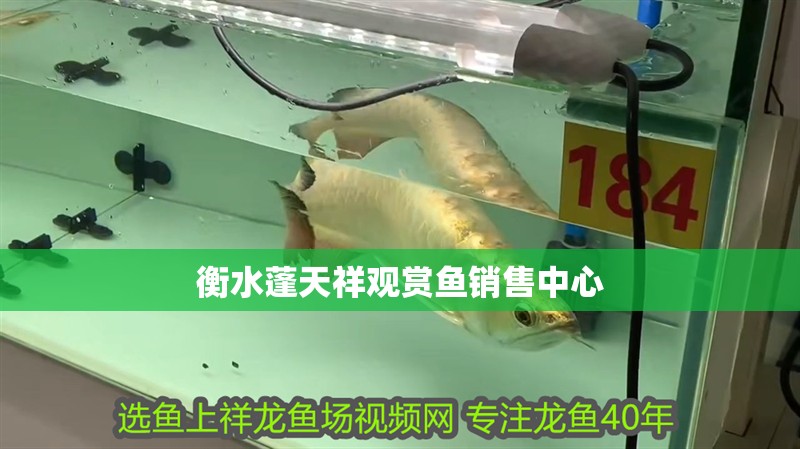 衡水蓬天祥觀賞魚銷售中心 衡水蓬天祥觀賞魚銷售中心 全國水族館企業名錄