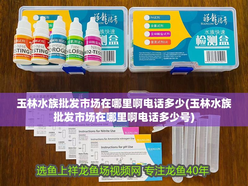 玉林水族批發市場在哪里啊電話多少(玉林水族批發市場在哪里啊電話多少號)
