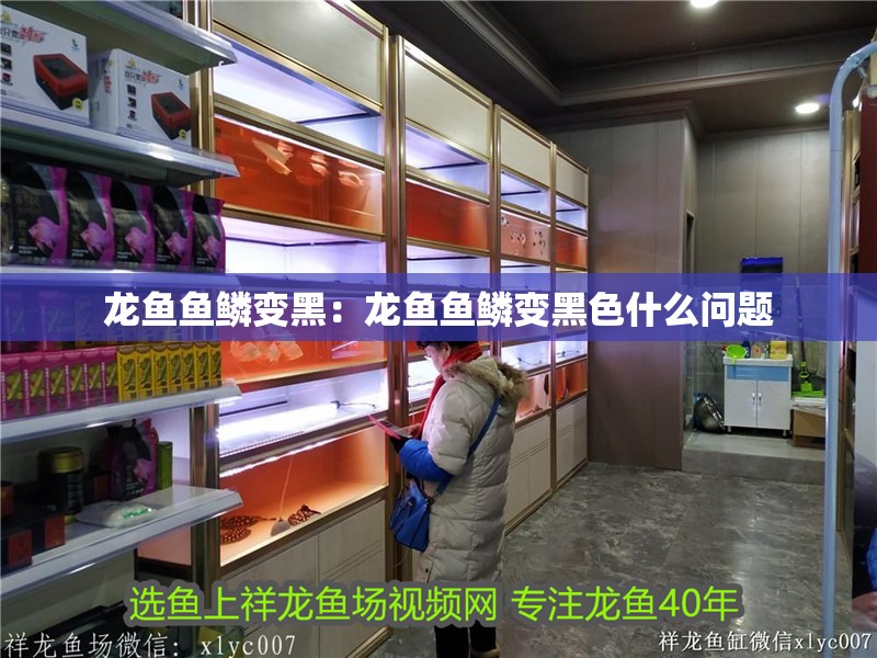 龍魚魚鱗變黑：龍魚魚鱗變黑色什么問題 龍魚魚鱗變黑：龍魚魚鱗變黑色什么問題 水族問答