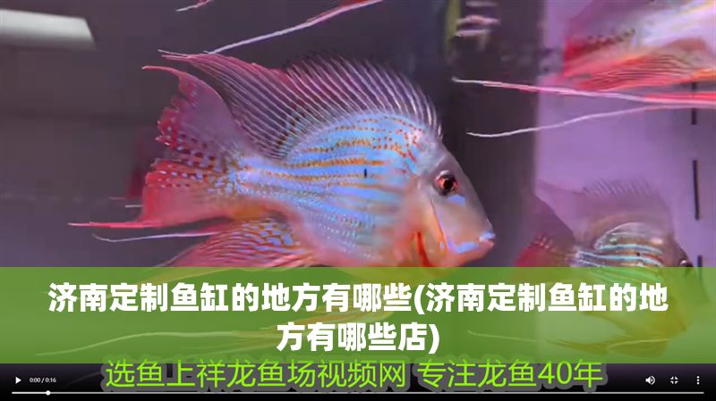 濟(jì)南定制魚缸的地方有哪些(濟(jì)南定制魚缸的地方有哪些店)