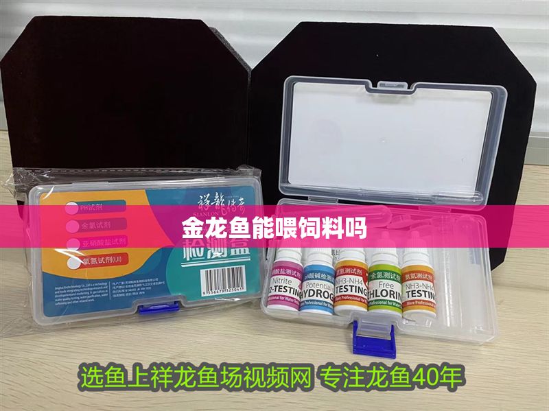 金龍魚(yú)能喂飼料嗎