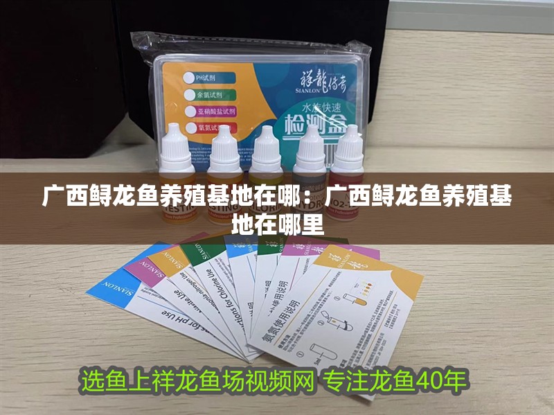 廣西鱘龍魚養(yǎng)殖基地在哪：廣西鱘龍魚養(yǎng)殖基地在哪里