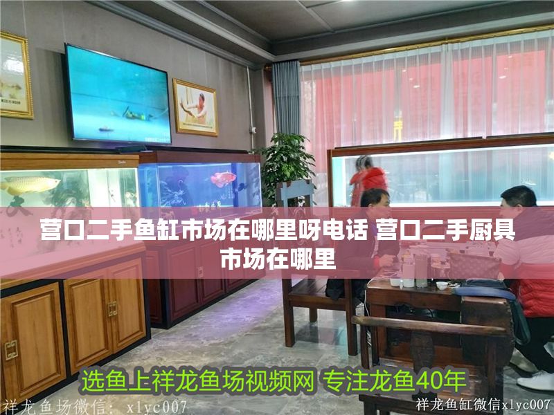 營口二手魚缸市場在哪里呀電話 營口二手廚具市場在哪里 龍魚百科 第1張 營口二手魚缸市場在哪里呀電話 營口二手廚具市場在哪里 營口二手魚缸市場在哪里呀電話 營口二手廚具市場在哪里 龍魚百科 第1張