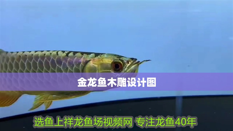 金龍魚木雕設(shè)計圖