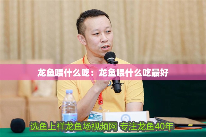 龍魚喂什么吃：龍魚喂什么吃最好