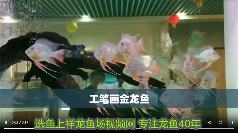 工筆畫金龍魚