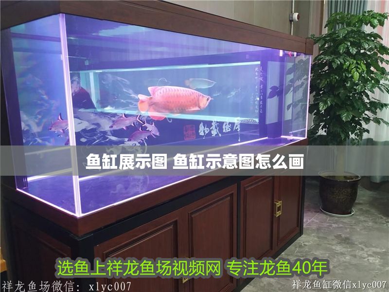 魚缸展示圖 魚缸示意圖怎么畫 魚缸展示圖 魚缸示意圖怎么畫 龍魚百科 第1張