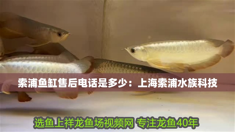 索浦魚缸售后電話是多少：上海索浦水族科技
