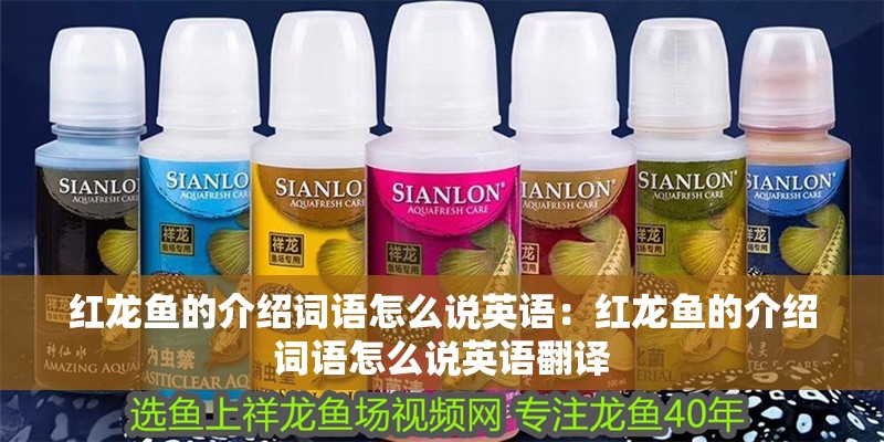 紅龍魚的介紹詞語怎么說英語：紅龍魚的介紹詞語怎么說英語翻譯