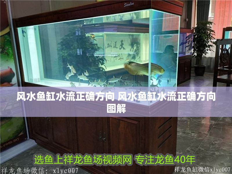 風水魚缸水流正確方向 風水魚缸水流正確方向圖解