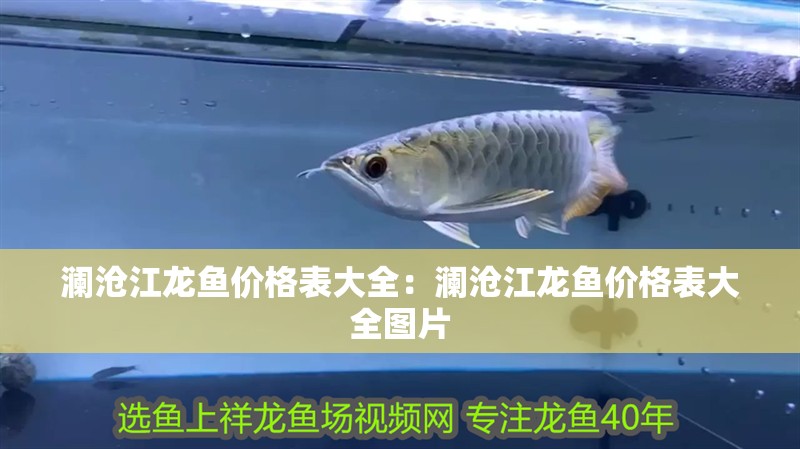 瀾滄江龍魚價格表大全：瀾滄江龍魚價格表大全圖片