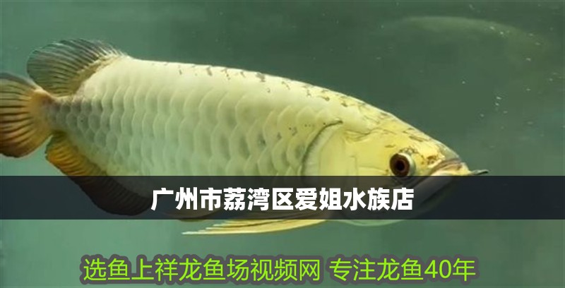 廣州市荔灣區愛姐水族店