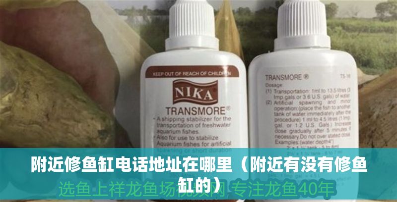 附近修魚缸電話地址在哪里（附近有沒有修魚缸的）