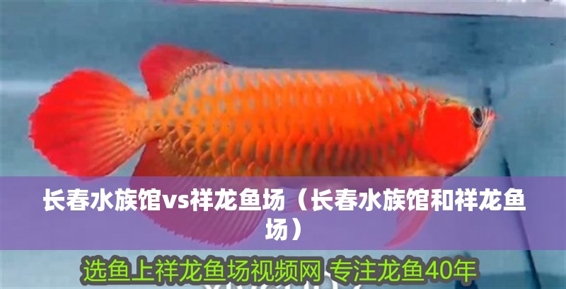 長春水族館vs祥龍魚場（長春水族館和祥龍魚場）