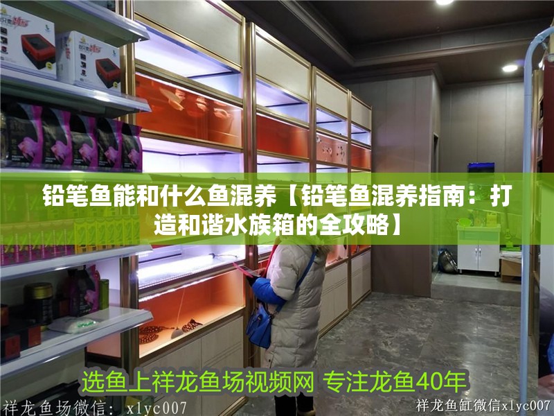 鉛筆魚能和什么魚混養(yǎng)【鉛筆魚混養(yǎng)指南：打造和諧水族箱的全攻略】