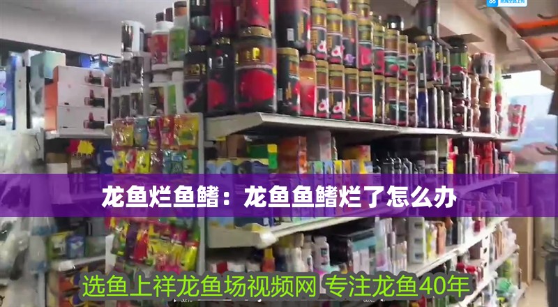 龍魚爛魚鰭：龍魚魚鰭爛了怎么辦