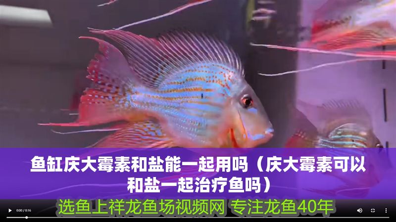 魚(yú)缸慶大霉素和鹽能一起用嗎（慶大霉素可以和鹽一起治療魚(yú)嗎）