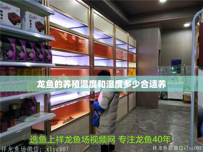 龍魚的養殖溫度和濕度多少合適養
