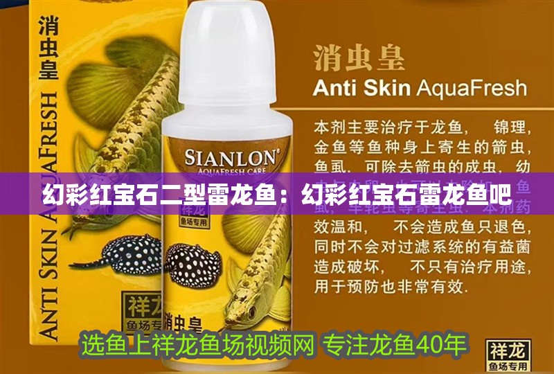 幻彩紅寶石二型雷龍魚：幻彩紅寶石雷龍魚吧 幻彩紅寶石二型雷龍魚：幻彩紅寶石雷龍魚吧 水族問答