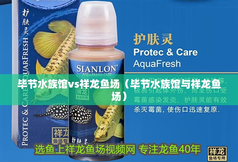 畢節(jié)水族館vs祥龍魚場(chǎng)(畢節(jié)水族館與祥龍魚場(chǎng)) 全國(guó)水族館企業(yè)名錄 第1張 畢節(jié)水族館vs祥龍魚場(chǎng)(畢節(jié)水族館與祥龍魚場(chǎng)) 畢節(jié)水族館vs祥龍魚場(chǎng)(畢節(jié)水族館與祥龍魚場(chǎng)) 全國(guó)水族館企業(yè)名錄 第1張