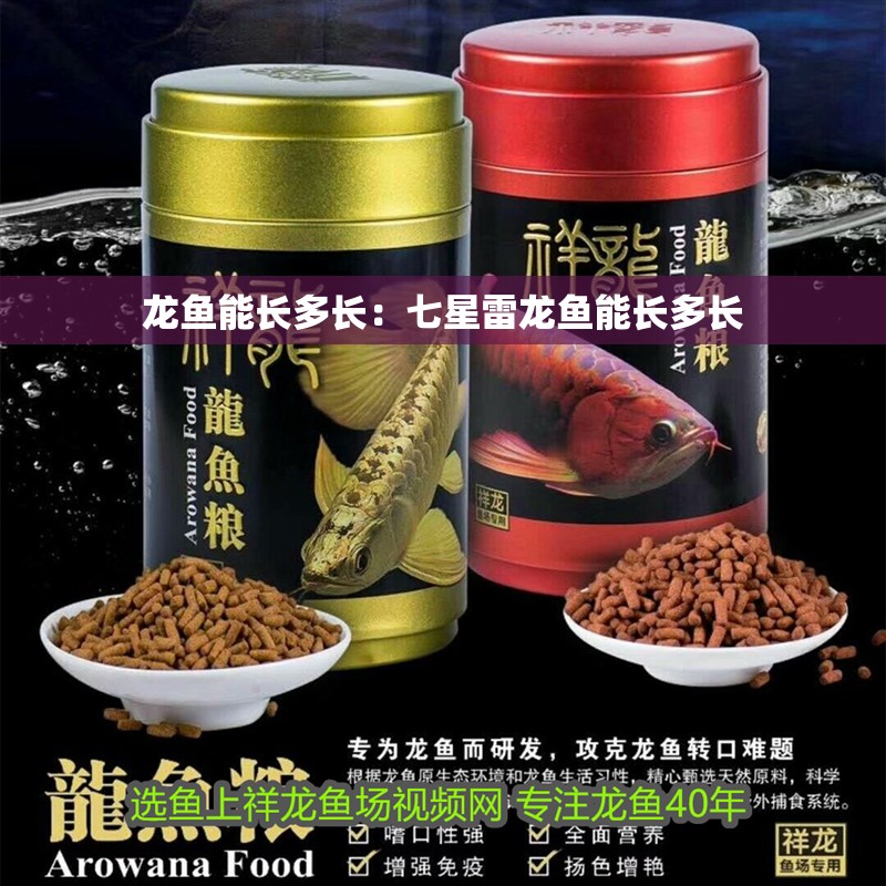 龍魚能長多長：七星雷龍魚能長多長 龍魚能長多長：七星雷龍魚能長多長 水族問答
