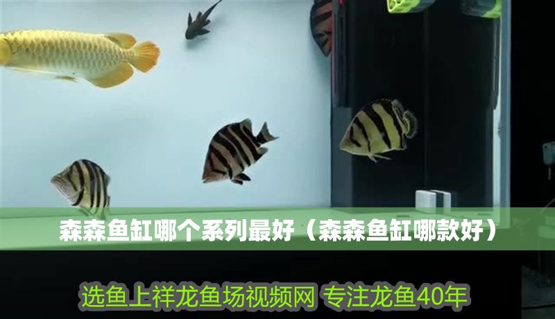 森森魚缸哪個(gè)系列最好（森森魚缸哪款好）