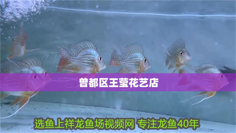 曾都區(qū)王瑩花藝店