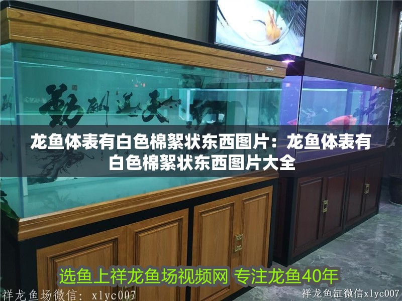 龍魚體表有白色棉絮狀東西圖片：龍魚體表有白色棉絮狀東西圖片大全