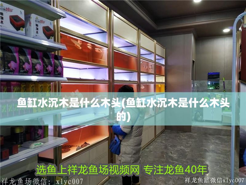 魚缸水沉木是什么木頭(魚缸水沉木是什么木頭的)