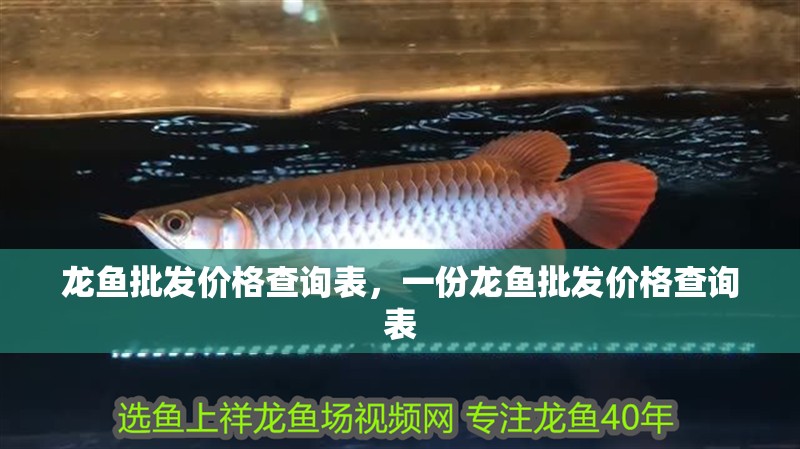 龍魚批發價格查詢表，一份龍魚批發價格查詢表