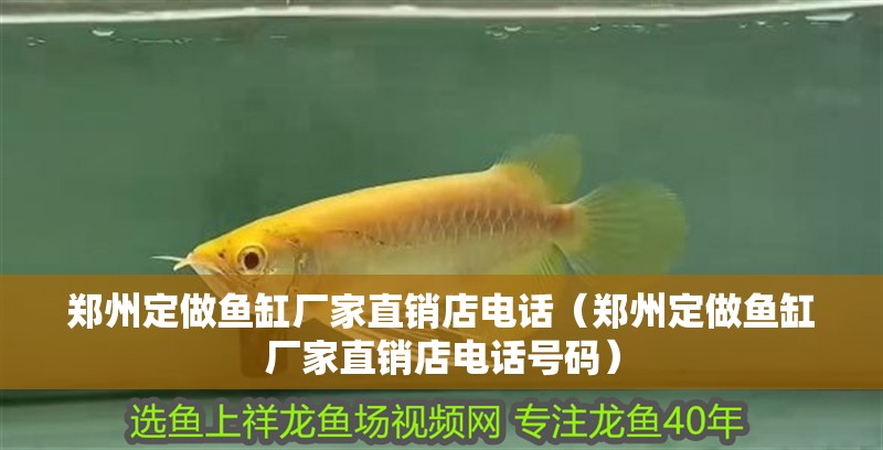 鄭州定做魚(yú)缸廠家直銷店電話（鄭州定做魚(yú)缸廠家直銷店電話號(hào)碼）