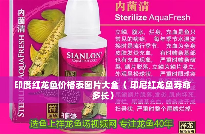 印度紅龍魚價格表圖片大全（ 印尼紅龍魚壽命多長）