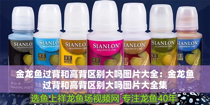 金龍魚過背和高背區別大嗎圖片大全：金龍魚過背和高背區別大嗎圖片大全集