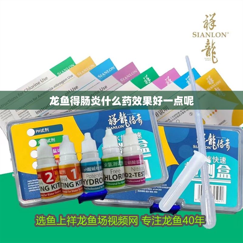 龍魚得腸炎什么藥效果好一點(diǎn)呢 龍魚百科 第2張 龍魚得腸炎什么藥效果好一點(diǎn)呢 龍魚得腸炎什么藥效果好一點(diǎn)呢 龍魚百科 第2張