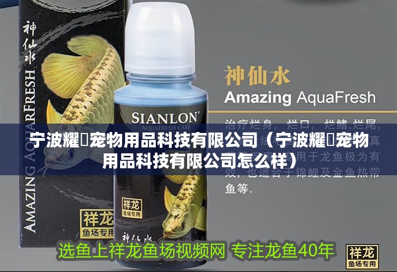 寧波耀玥寵物用品科技有限公司（寧波耀玥寵物用品科技有限公司怎么樣）