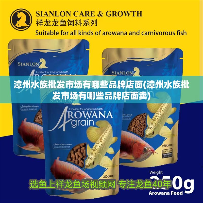 漳州水族批發市場有哪些品牌店面(漳州水族批發市場有哪些品牌店面賣)
