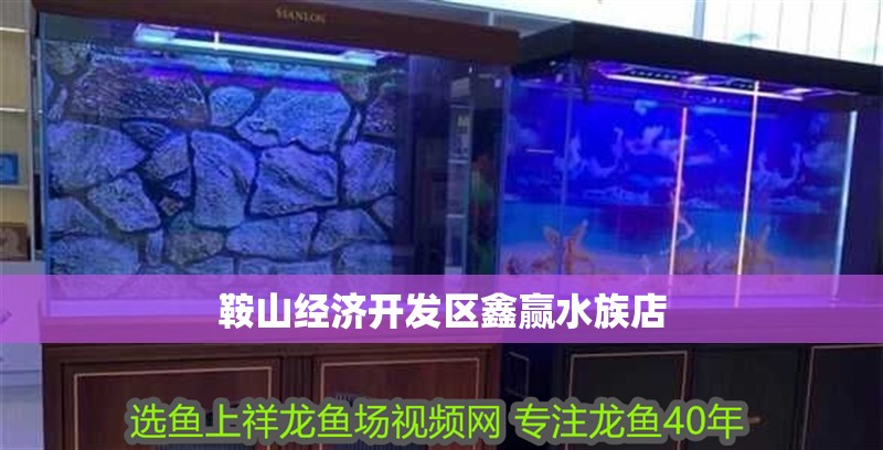鞍山經濟開發區鑫贏水族店