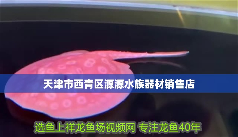 天津市西青區源源水族器材銷售店 天津市西青區源源水族器材銷售店 全國水族館企業名錄 第2張