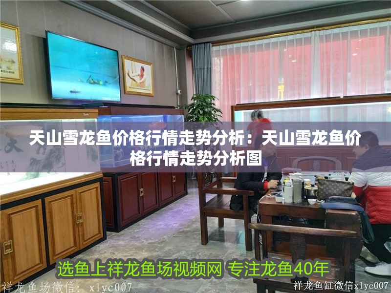 <strong><mark>天山</mark></strong>雪龍魚價格行情走勢分析：<strong><mark>天山</mark></strong>雪龍魚價格行情走勢分析圖