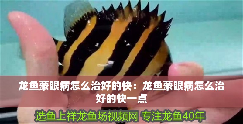 龍魚蒙眼病怎么治好的快：龍魚蒙眼病怎么治好的快一點(diǎn)